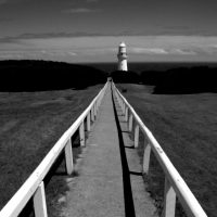 path-to-the-light